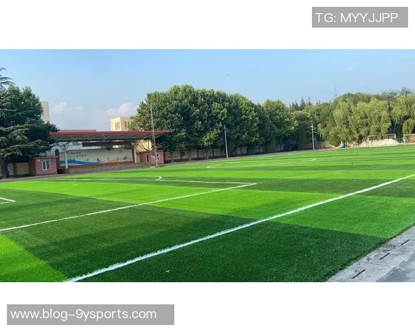 足球场草坪更换的重要性与最佳实践指南助力提升比赛质量与观众体验